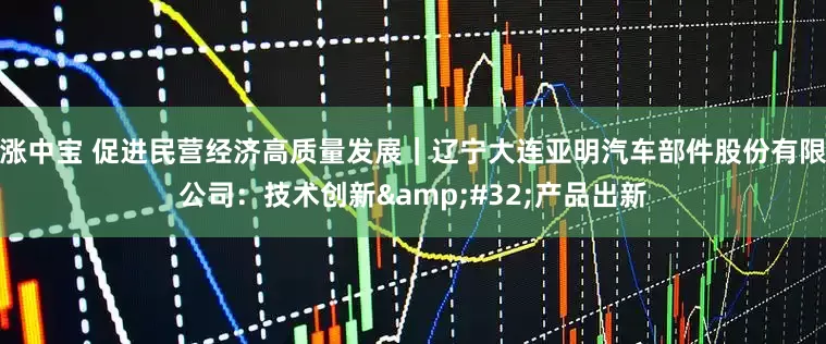 涨中宝 促进民营经济高质量发展｜辽宁大连亚明汽车部件股份有限公司：技术创新&#32;产品出新
