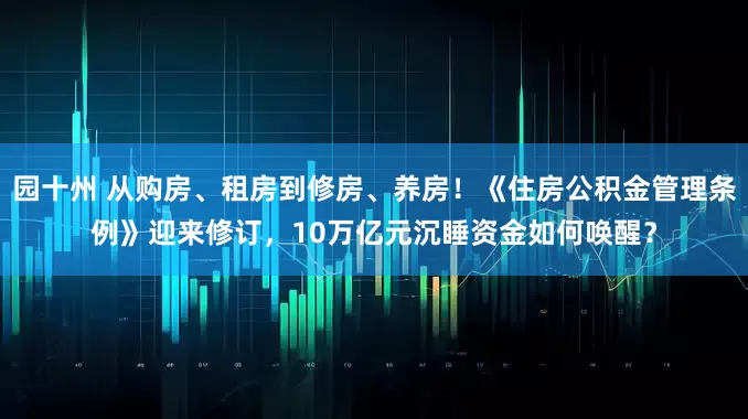园十州 从购房、租房到修房、养房！《住房公积金管理条例》迎来修订，10万亿元沉睡资金如何唤醒？
